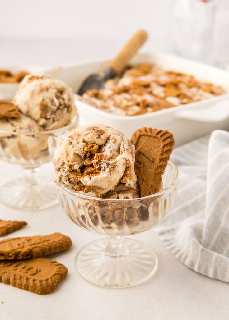 Lotus Biscuit Gelato Scoop